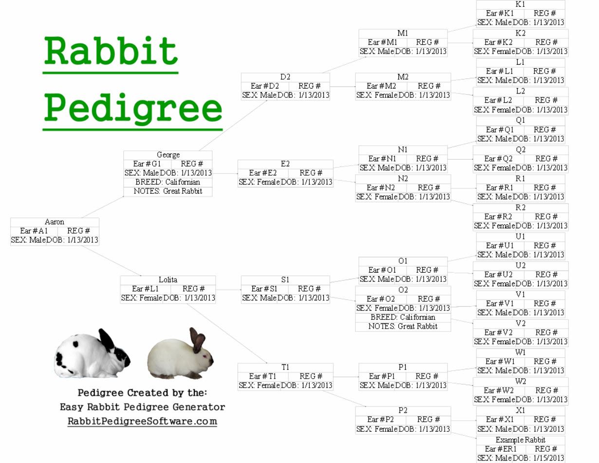 Free rabbit pedigree program for mac